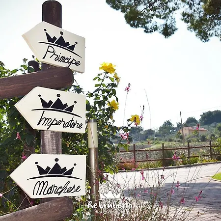 Re Umberto - Di Charme E Country