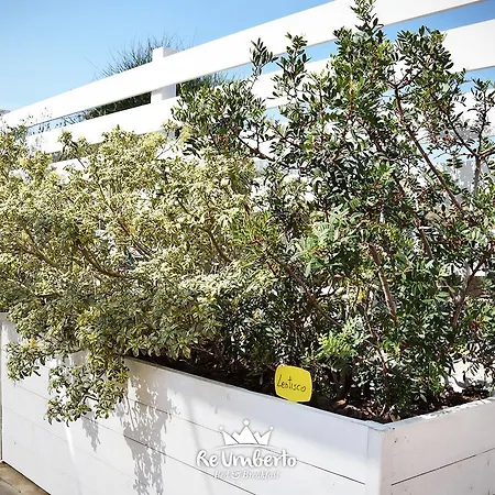 Re Umberto - Di Charme E Country 4* San Salvo