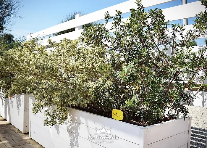 Re Umberto - Di Charme E Country 4* سان سالفو